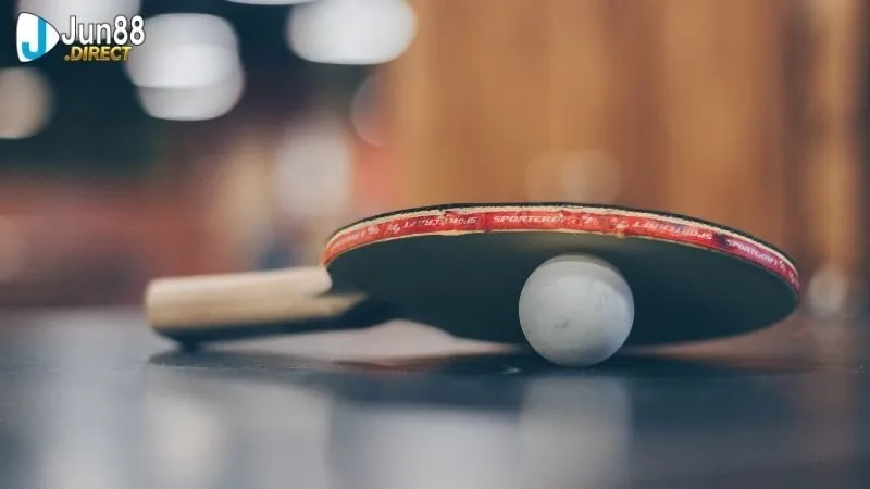 Bảng xếp hạng bóng bàn thế giới