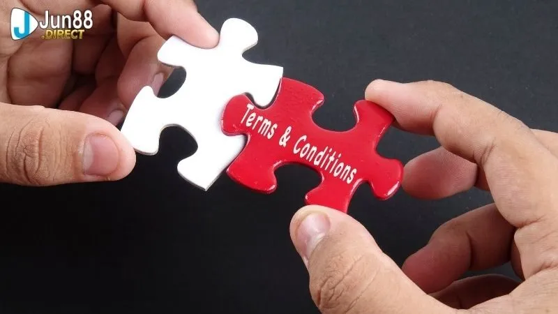 Điều khoản và điều kiện 