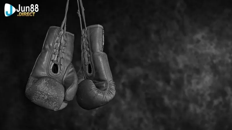 Quyền anh hạng nặng: Tin tức, kết quả quyền anh mới nhất