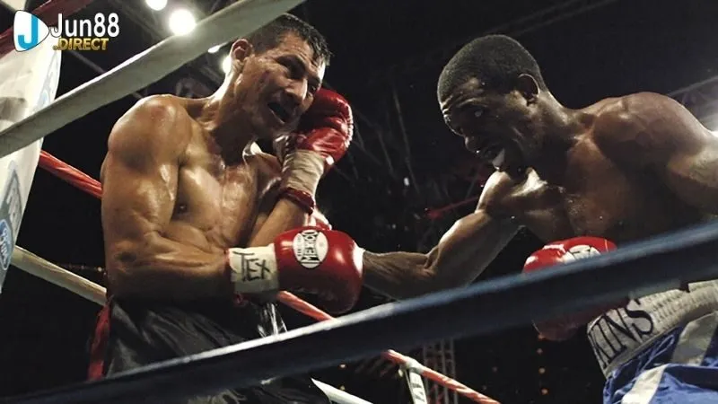 Võ sĩ quyền anh: Thông tin về các võ sĩ quyền anh nổi tiếng