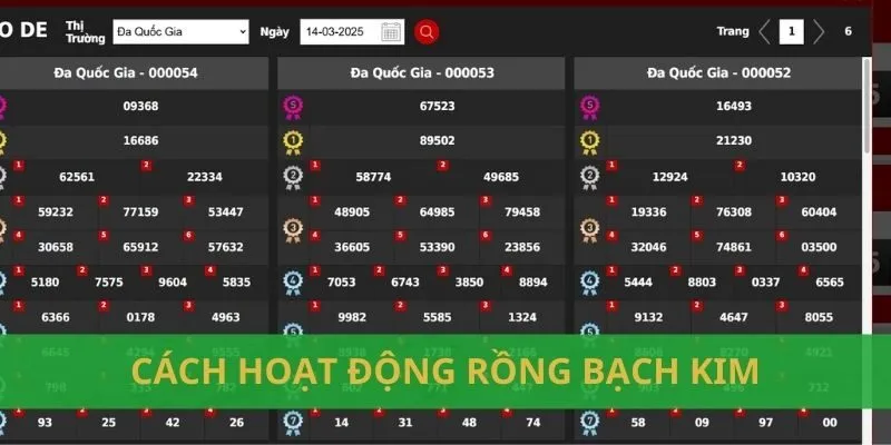 Rồng bạch kim là gì?