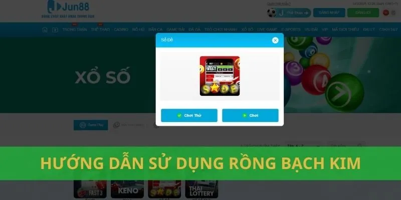 Rồng bạch kim là gì?