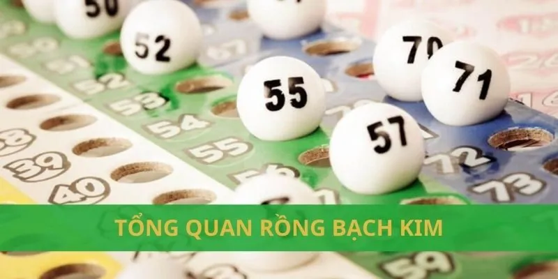 Rồng bạch kim là gì?